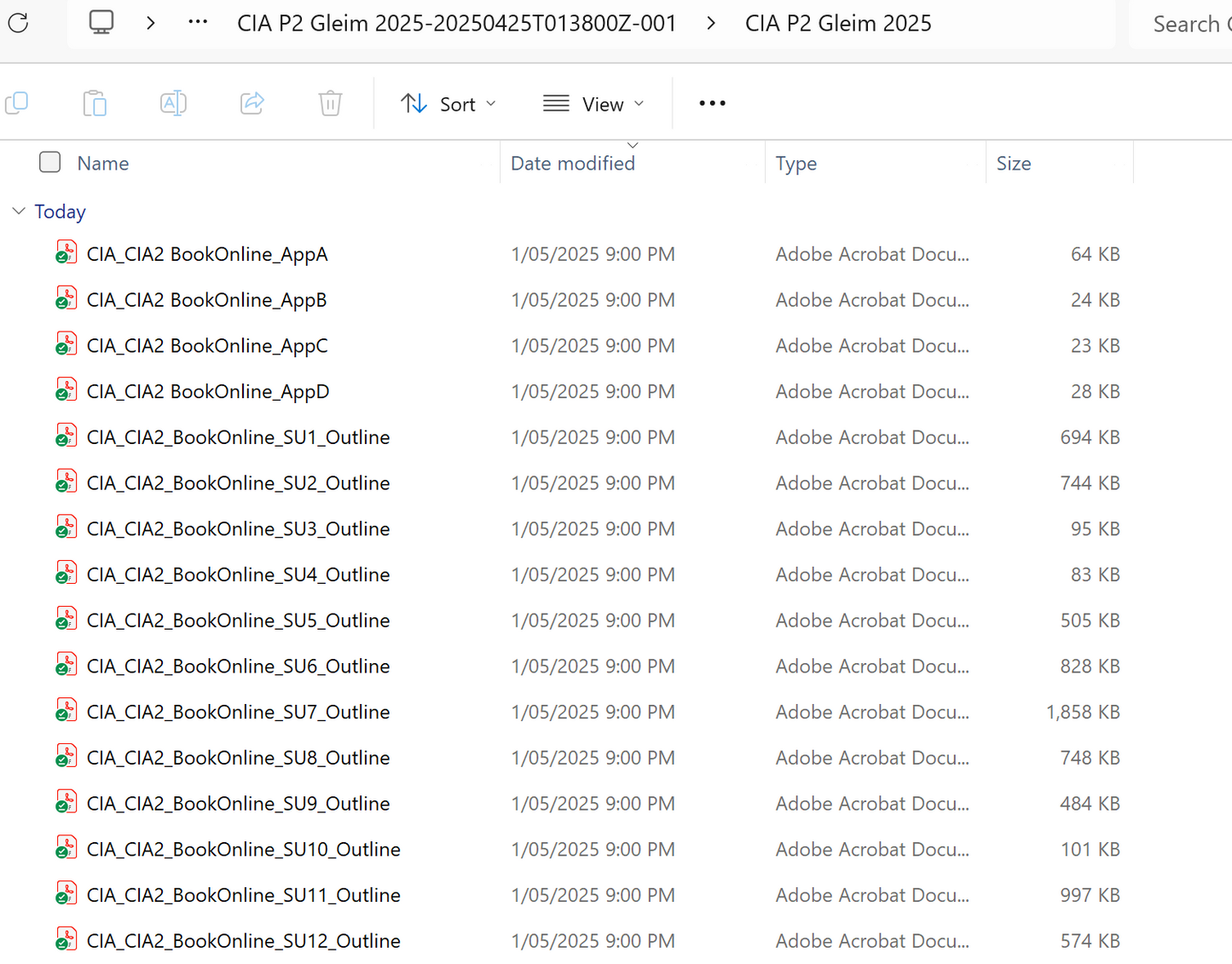 2025 CIA Gleim Part 2 Book