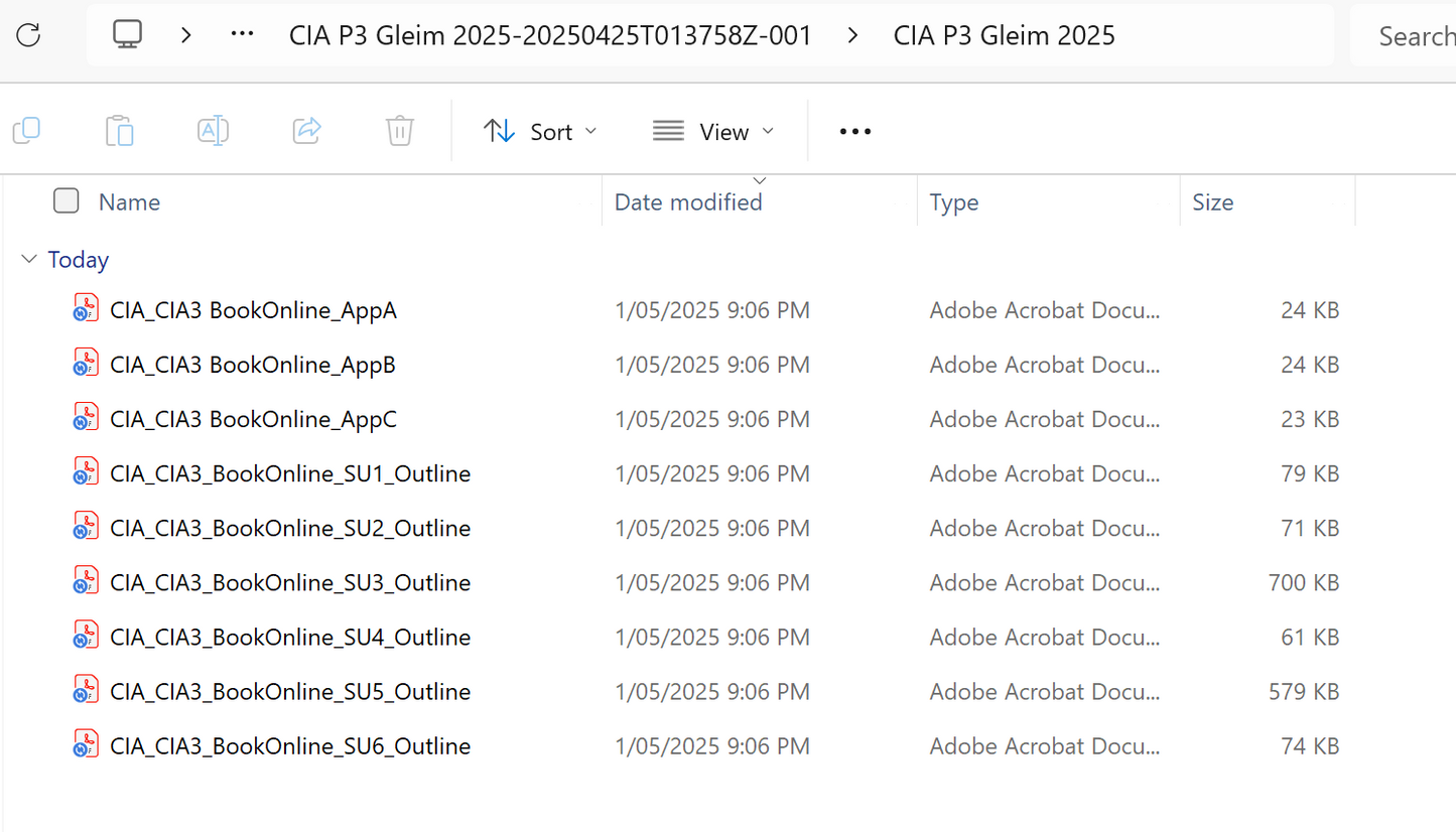 2025 CIA Gleim Part 3 Book