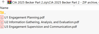 2025 CIA Becker Part 2 Book