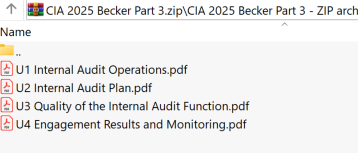 2025 CIA Becker Part 3 Book